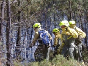 Bases para a contratacin laboral temporal, a xornada completa, de traballadores para as Brigadas de prevencin e defensa contra incendios forestais